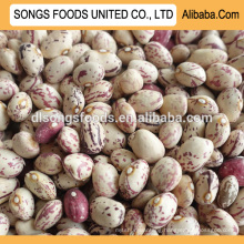 Hot sale Xin Jiang Origin kidney beans